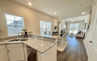 Unveiling the Perks of Apartment and Townhome Rentals Near Norfolk, VA